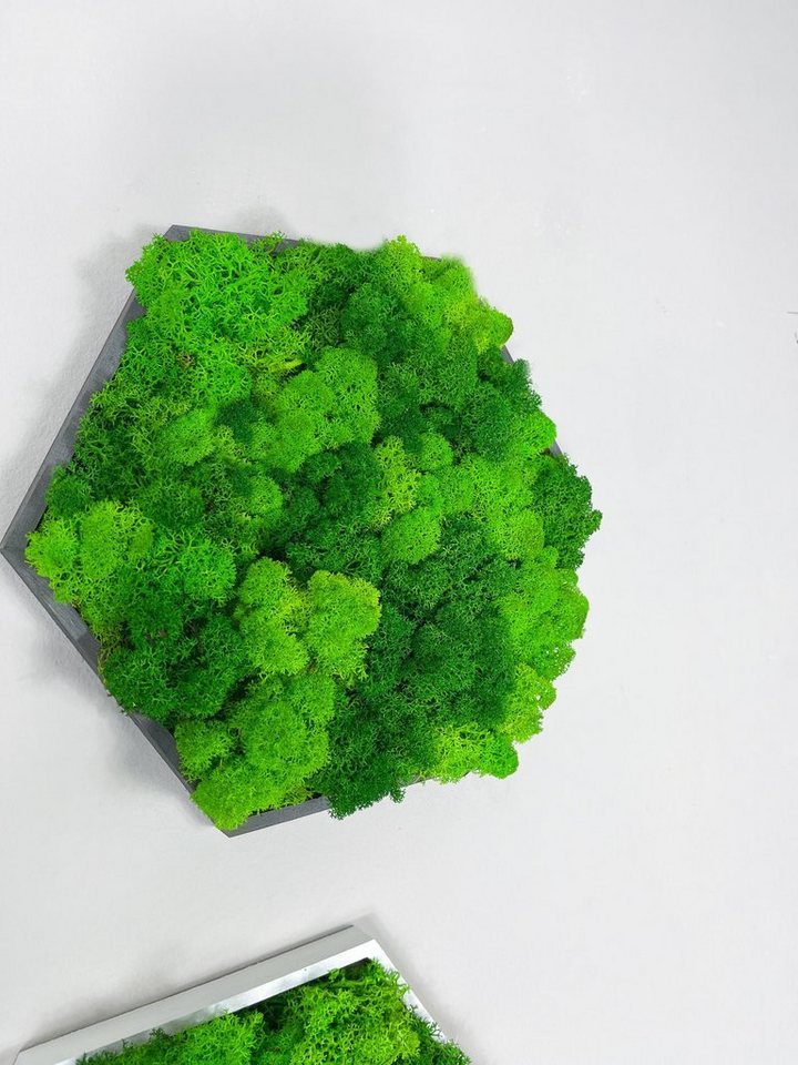 Gedankenwunder Manufaktur Bild mit Rahmen Islandmoos Farbkombi Moosbild Hexagon Rahmen Sechseck Rentiermoos Bild 3