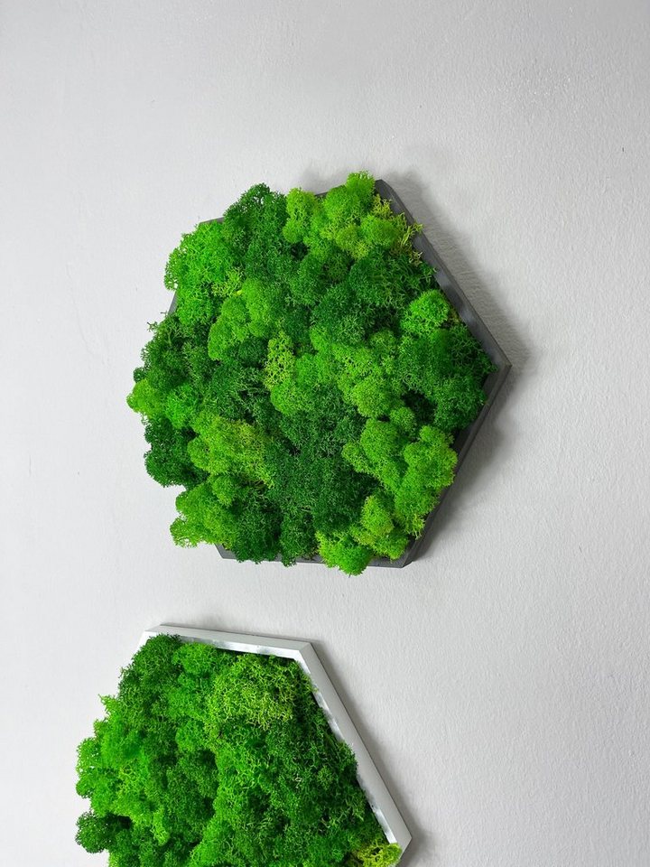 Gedankenwunder Manufaktur Bild mit Rahmen Islandmoos Farbkombi Moosbild Hexagon Rahmen Sechseck Rentiermoos Bild 4