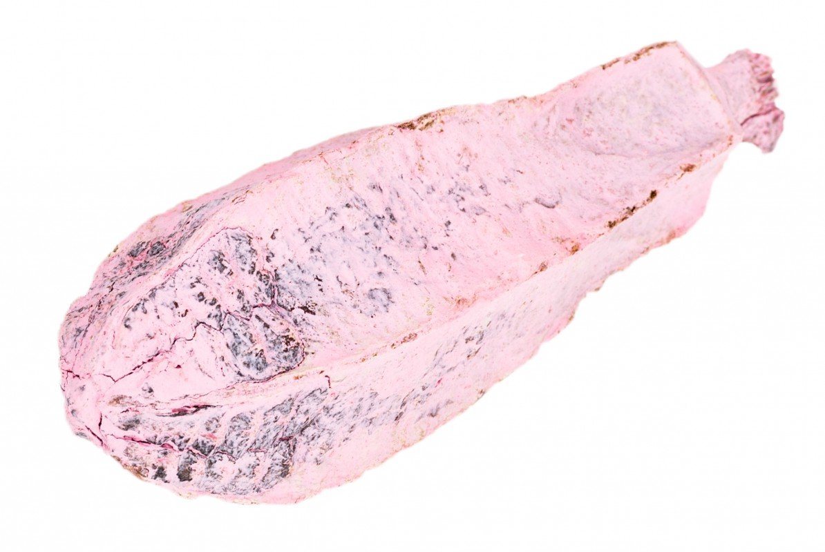 NaDeco Bastelnaturmaterial Mahagoni Kern pink ca. 8-12cm