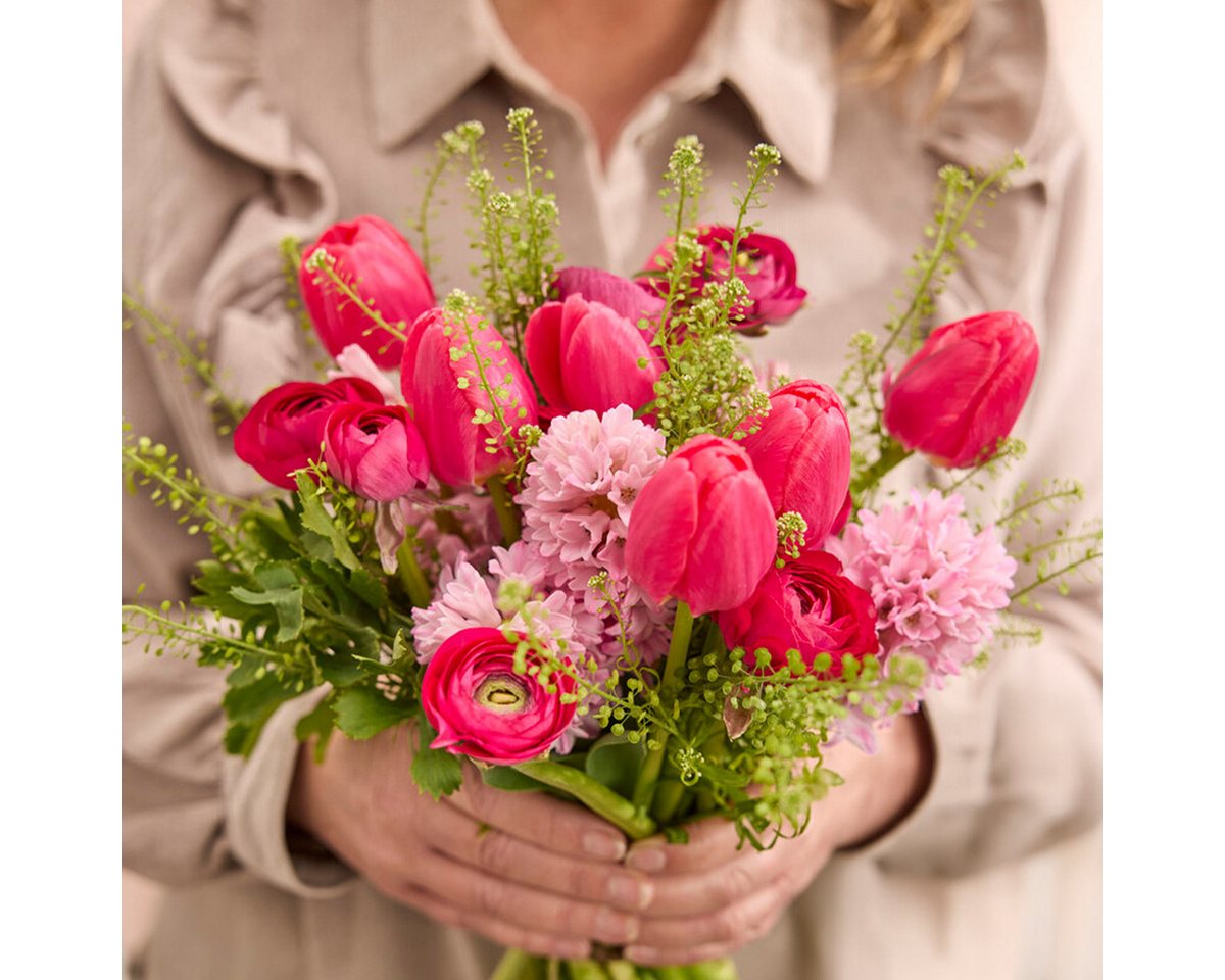Bloomique Blumenzwiebeln Bloomique - Mischung aus 20 - Tulipa - Tulpenzwiebeln - Rosa - Blumenz, (20-St)