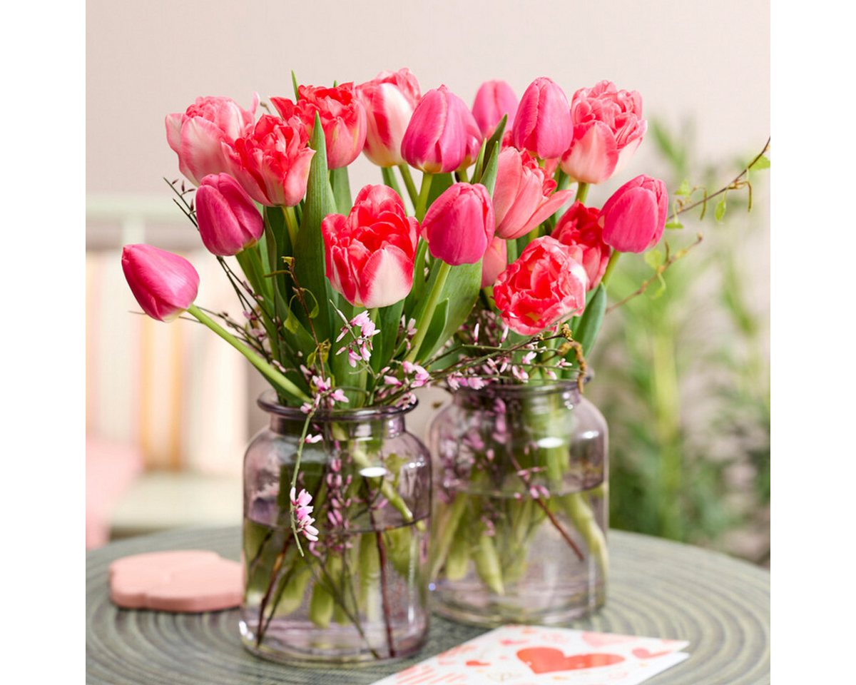Bloomique Blumenzwiebeln Bloomique - Mischung aus 20 - Tulipa - Tulpenzwiebeln - Rosa - Blumenz, (20-St) Bild 2