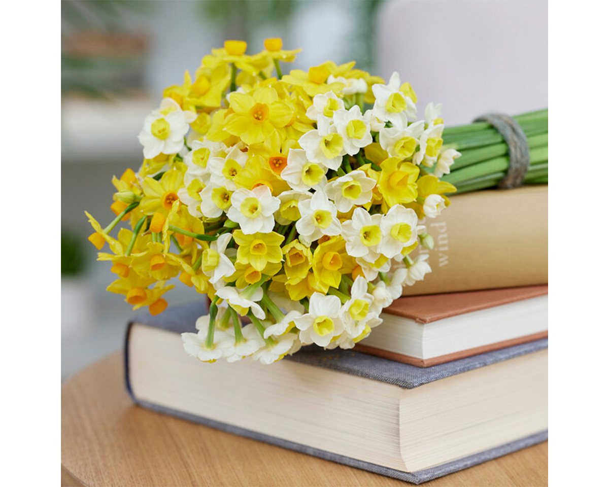 Bloomique Blumenzwiebeln Mischung aus 50 - Wildblumen-Mischung - Mischung aus 4 Arten - Blumenz, (50-St)