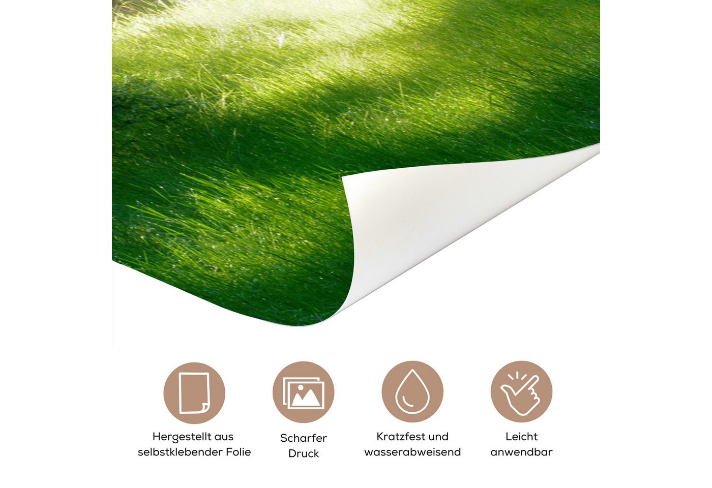 MuchoWow Türtapete Natur - Bäume - Wald - Grün - Sonne - Gras - Pflanzen, Matt, bedruckt, (1 St), Selbstklebende Tapete, Folie für Möbel, 70x215 cm Bild 5