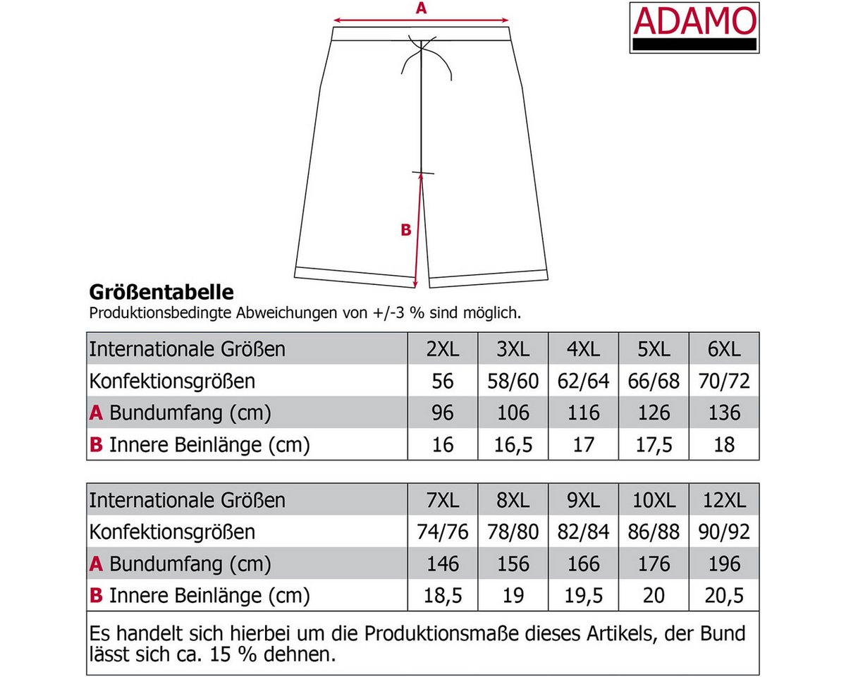 RennerXXL Trekkingshorts Tim Wanderhose Herren Übergrößen bis 12XL, Bi-Stretch, Cargotasche Bild 2