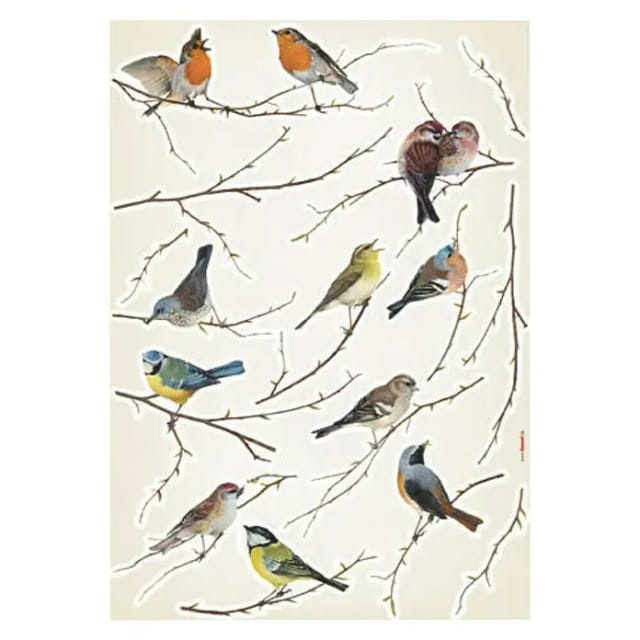 Komar Decosticker Vogel 50 X 70 Cm Wandtattoos