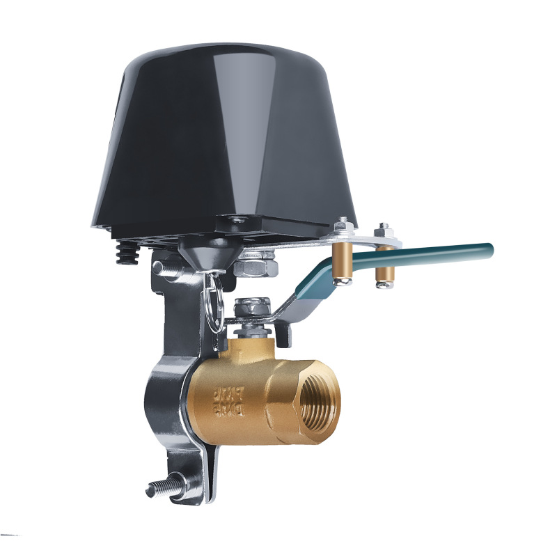 Intelligentes Wlan-wasserventil, Kompatibel Mit Google Assistant, Ios/android-app