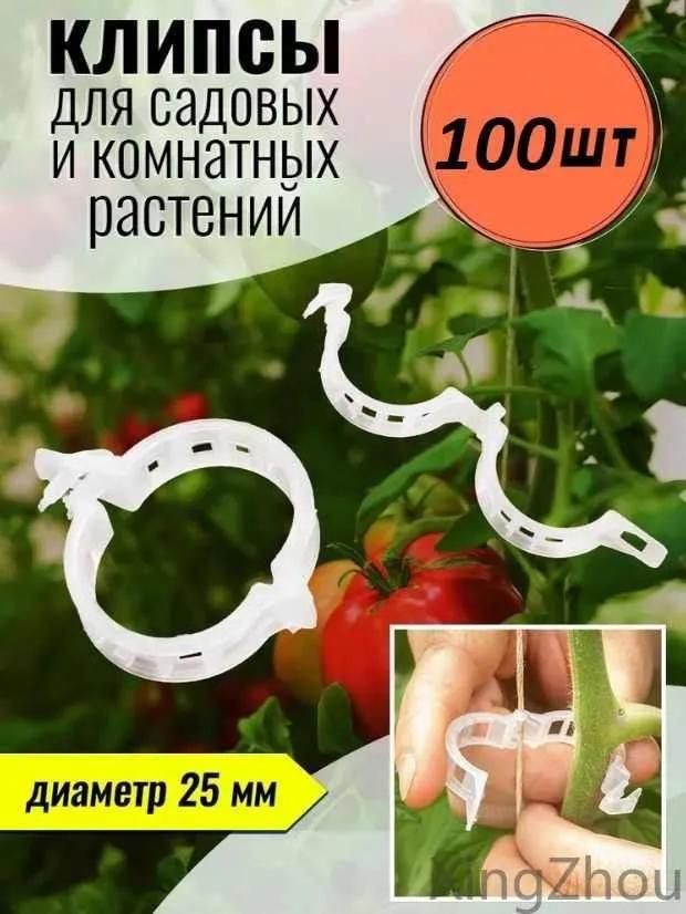 Pflanzenklammern Von Vinesecure – 100 Stück