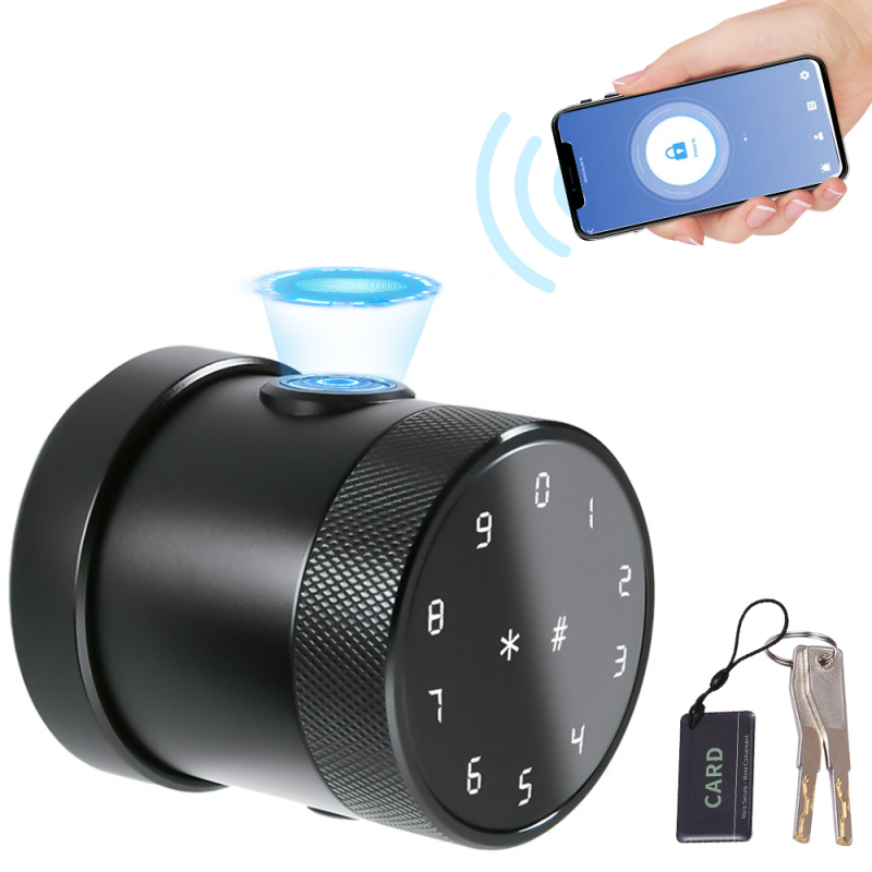 5-in-1 Smart-schloss, Entsperrung Per Fingerabdruck, Code, Karte Und Schlüssel, Tuya Bluetooth-app