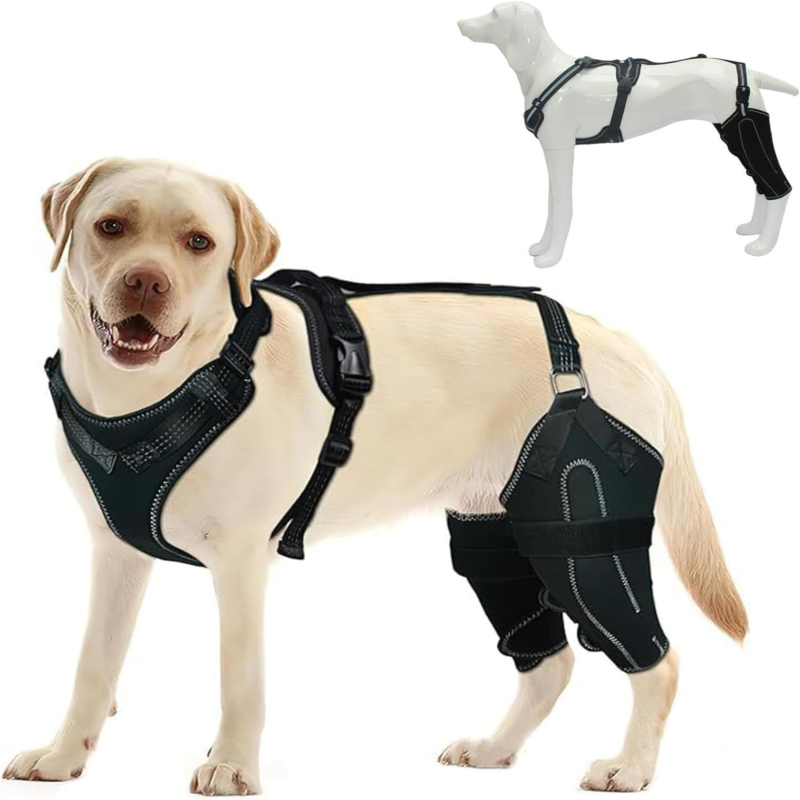 Knieorthese Für Hunde Bei Kreuzbandriss, Hüftdysplasie Und Patellaluxation (m)