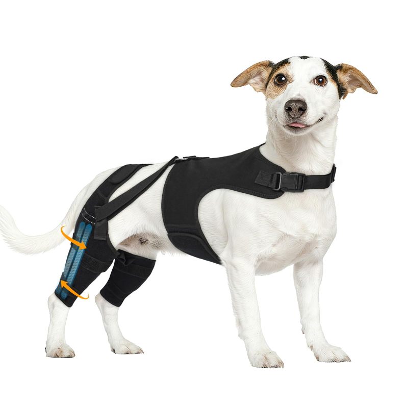 Knieorthese Für Hunde Mit Kreuzbandriss Für Das Hinterbein, Verstellbar Mit 4 Stabilisatoren, Hüftstütze (klein/mittel/groß)