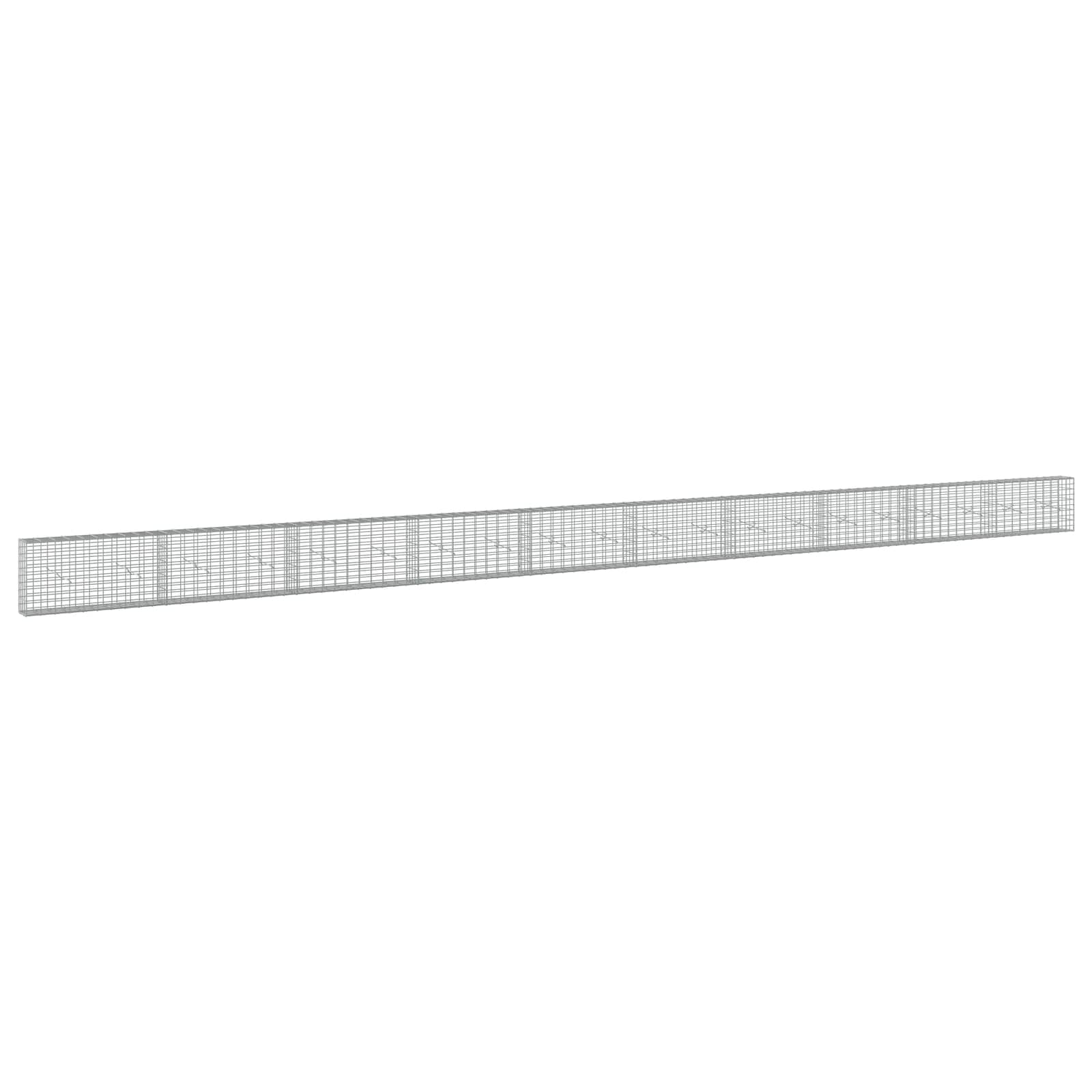 Gabione Mit 5 Mm Draht Und 5x10 Cm Maschen 1000x20x50 Cm Vidaxl