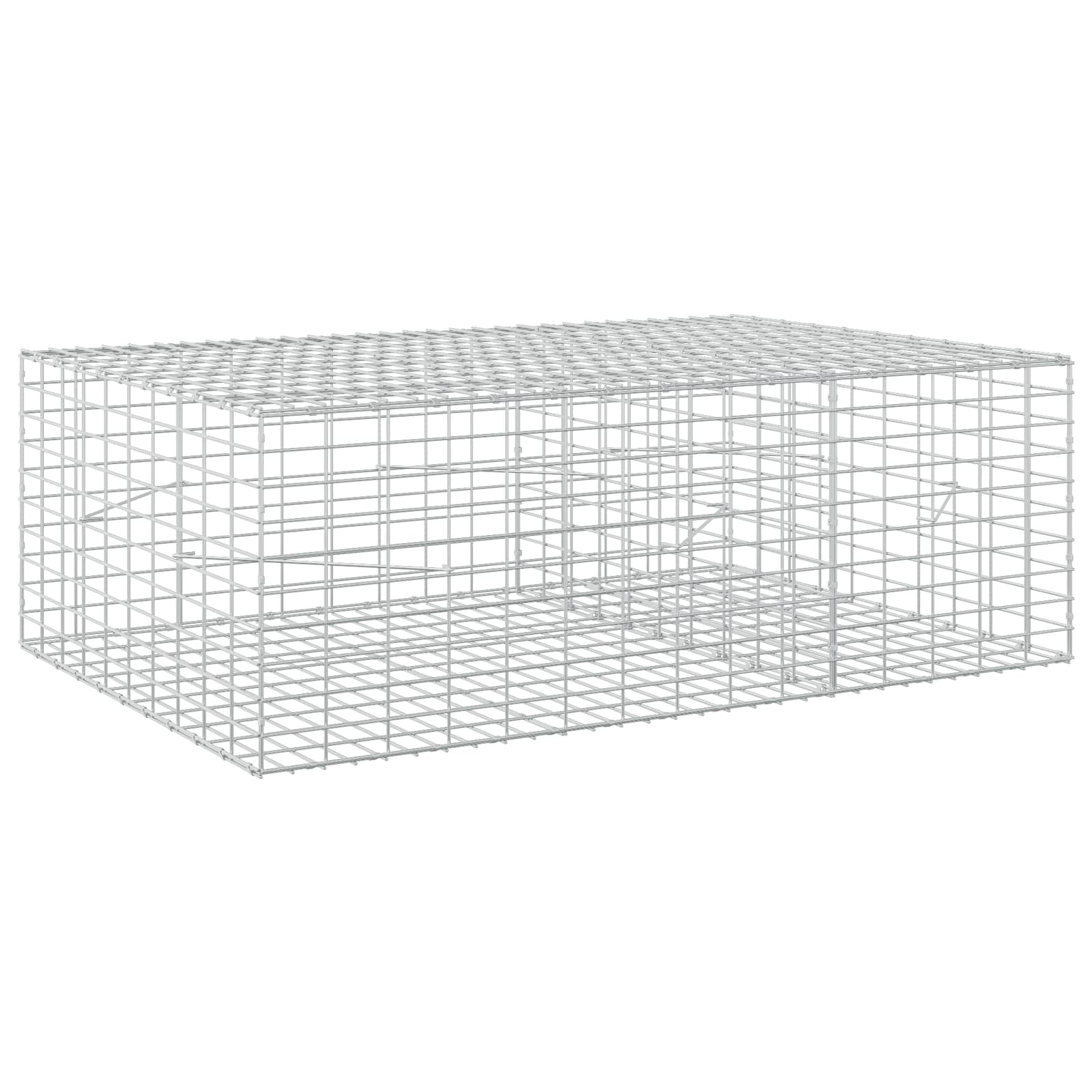 Gabione Mit 5 Mm Draht Und 5x10 Cm Maschen 150x100x50 Cm Vidaxl