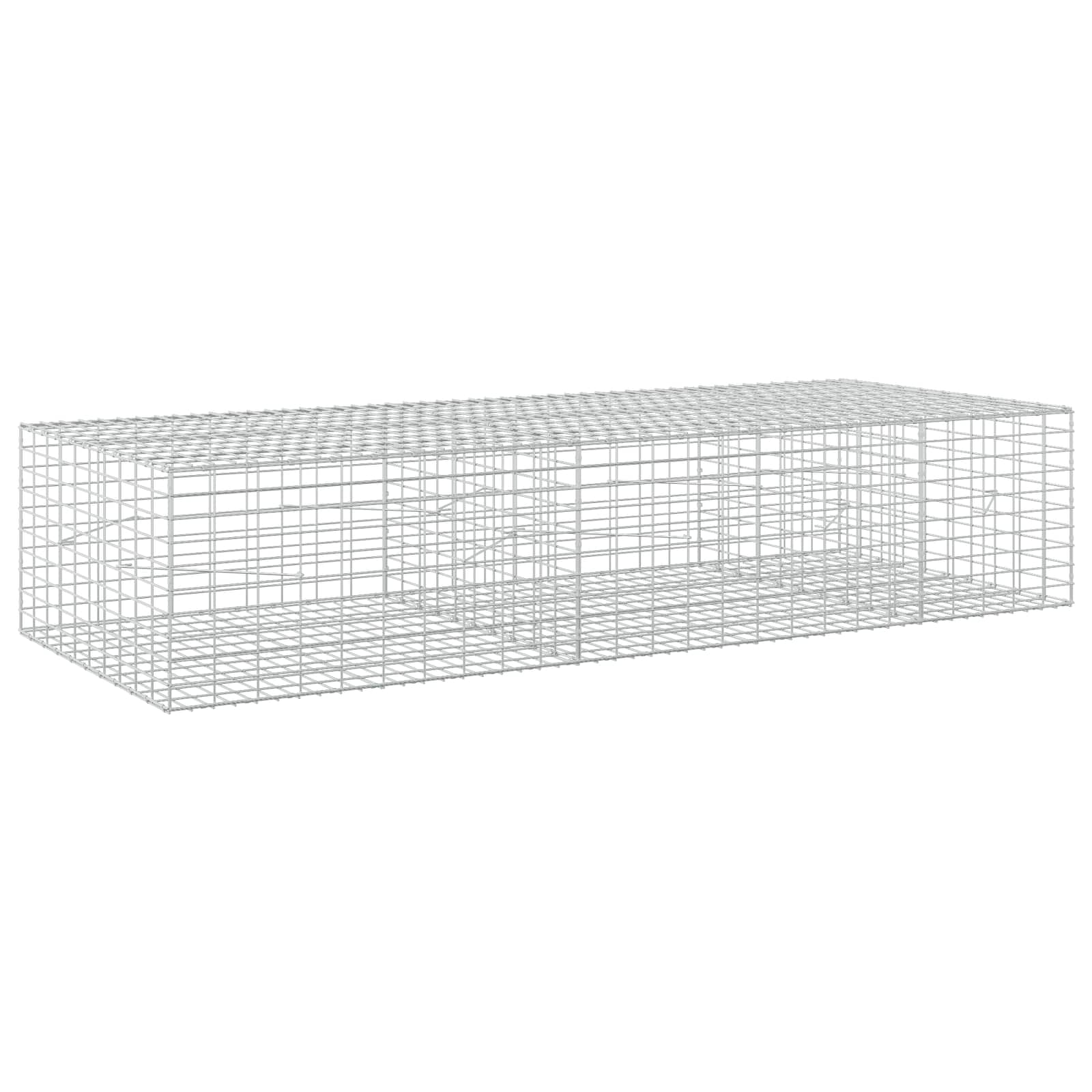 Gabione Mit 5 Mm Draht Und 5x10 Cm Maschen 250x100x50 Cm Vidaxl