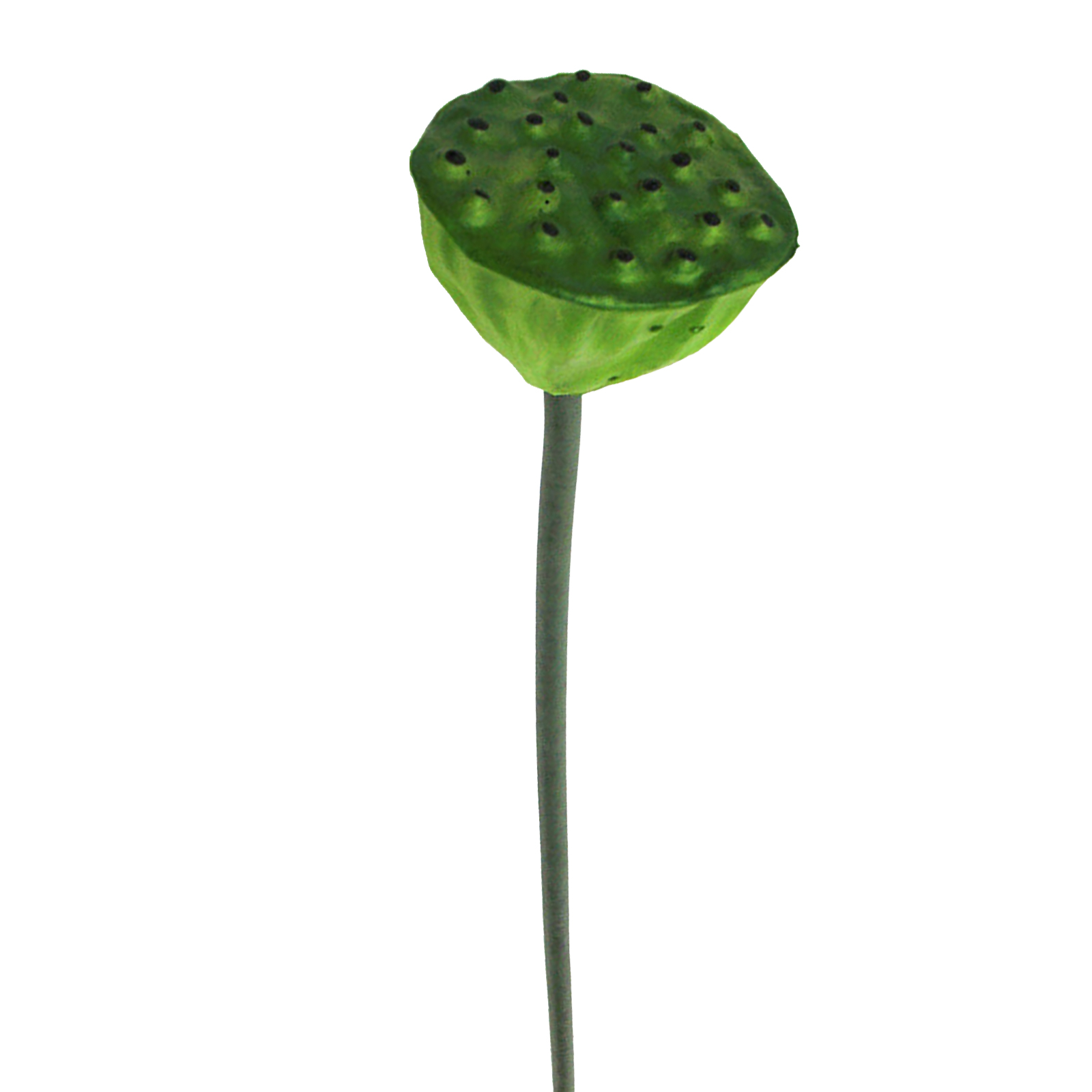 Künstliche Teichpflanze Aus Kunststoff Mit Realistischem Grünem Stiel, Dekorativ Für Vase, Aquarium, Garten Und Außenbereich, 62 X 7 Cm