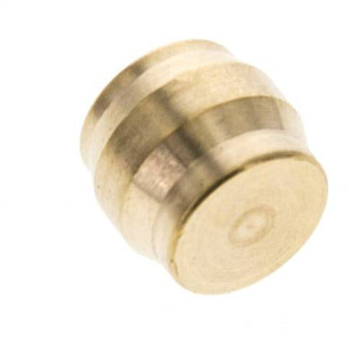 12mm Messing Verschlussstopfen für Klemmringverschraubungen 75 Bar DIN EN 1254-2 [2 Stück] Bild 3