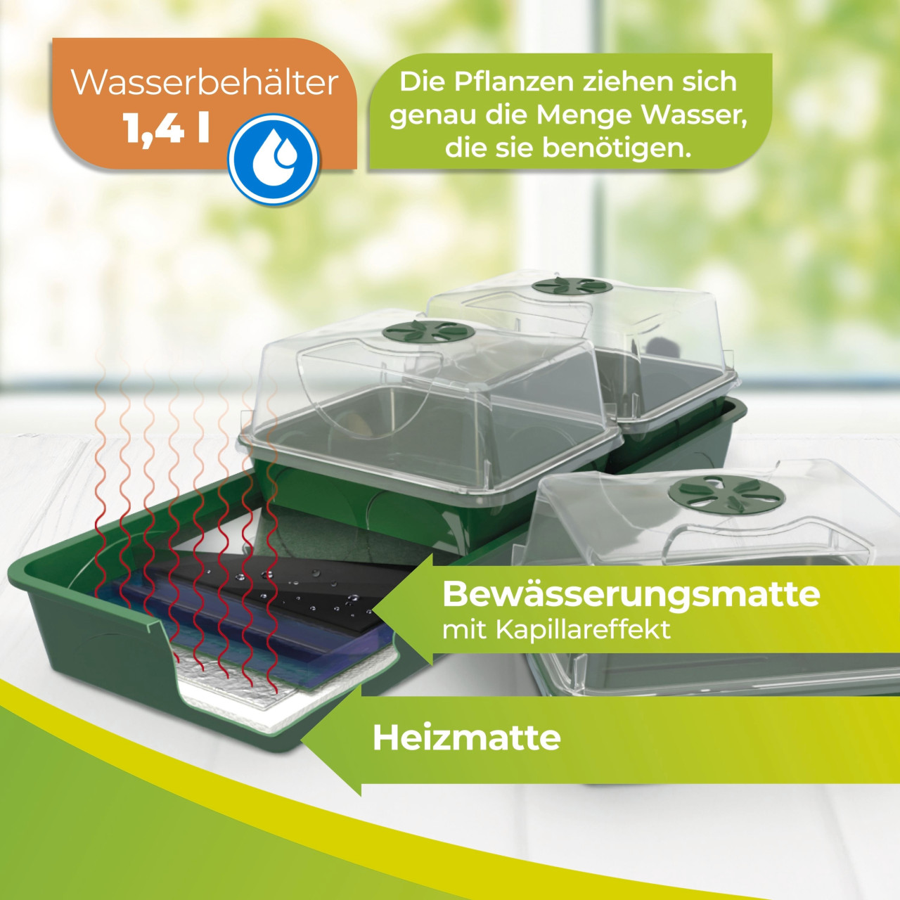 BioGreen Anzuchtstation Hollandia grün/schwarz 54 x 21 cm mit 3 Klimakammern beheizbar