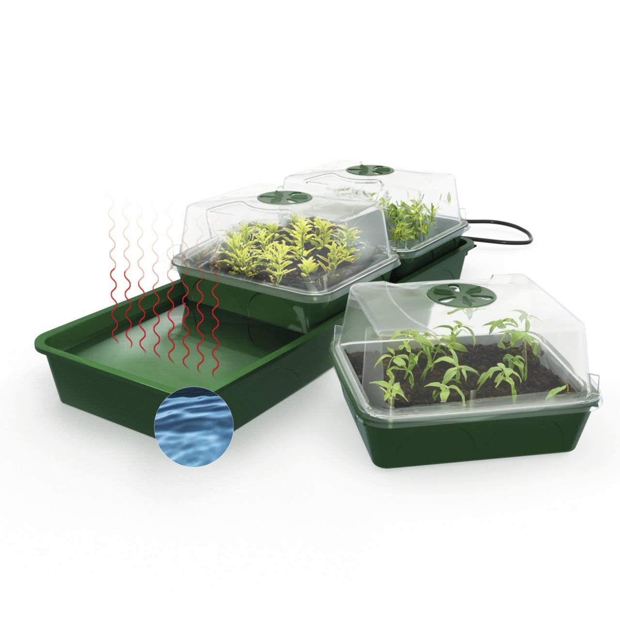 BioGreen Anzuchtstation Hollandia grün/schwarz 54 x 21 cm mit 3 Klimakammern beheizbar Bild 3
