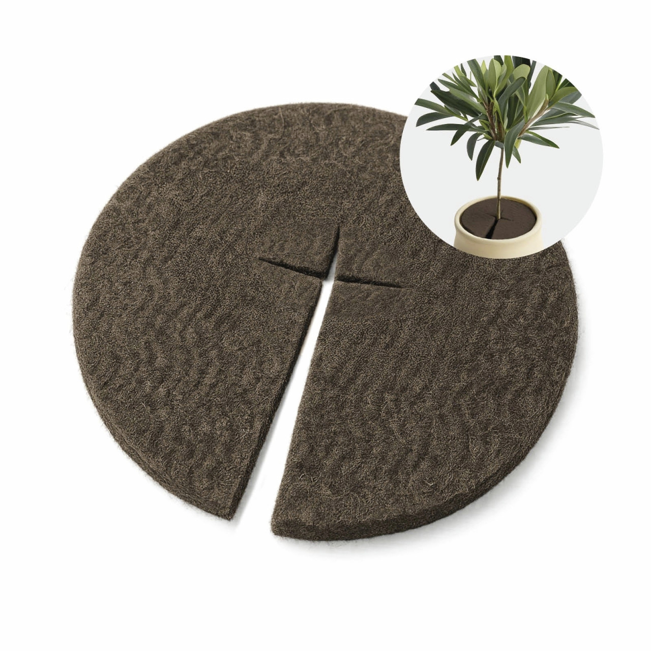 BioGreen FrostDisk Frostschutzscheibe für Topf- und Kübelpflanzen dunkel Ø 20 cm