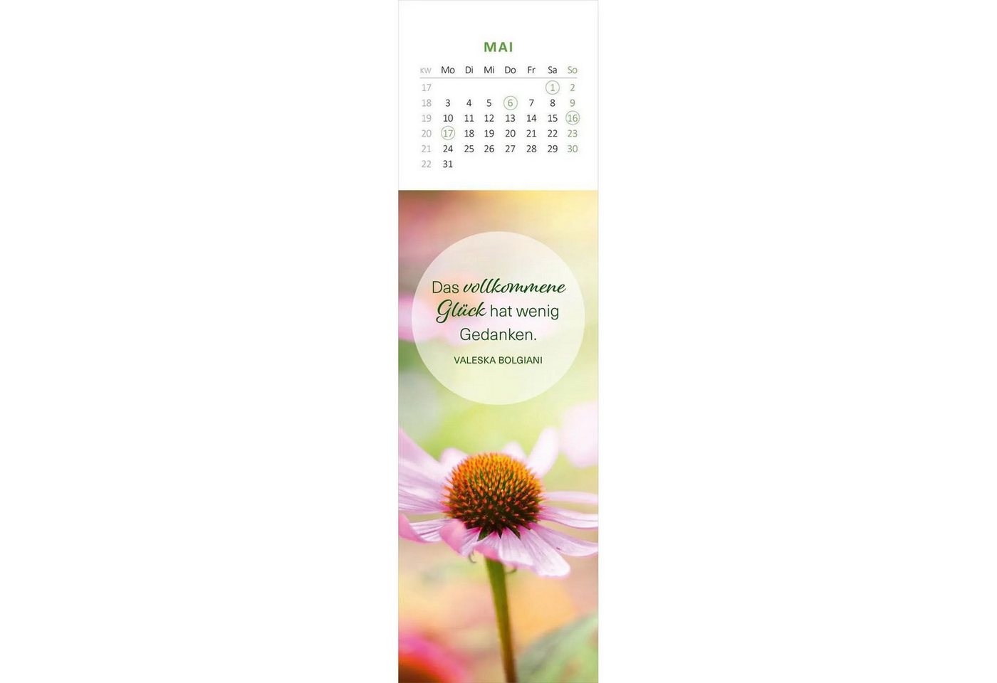 Ars Edition Wandkalender Lesezeichenkalender Glücksmomente für die Seele 2027