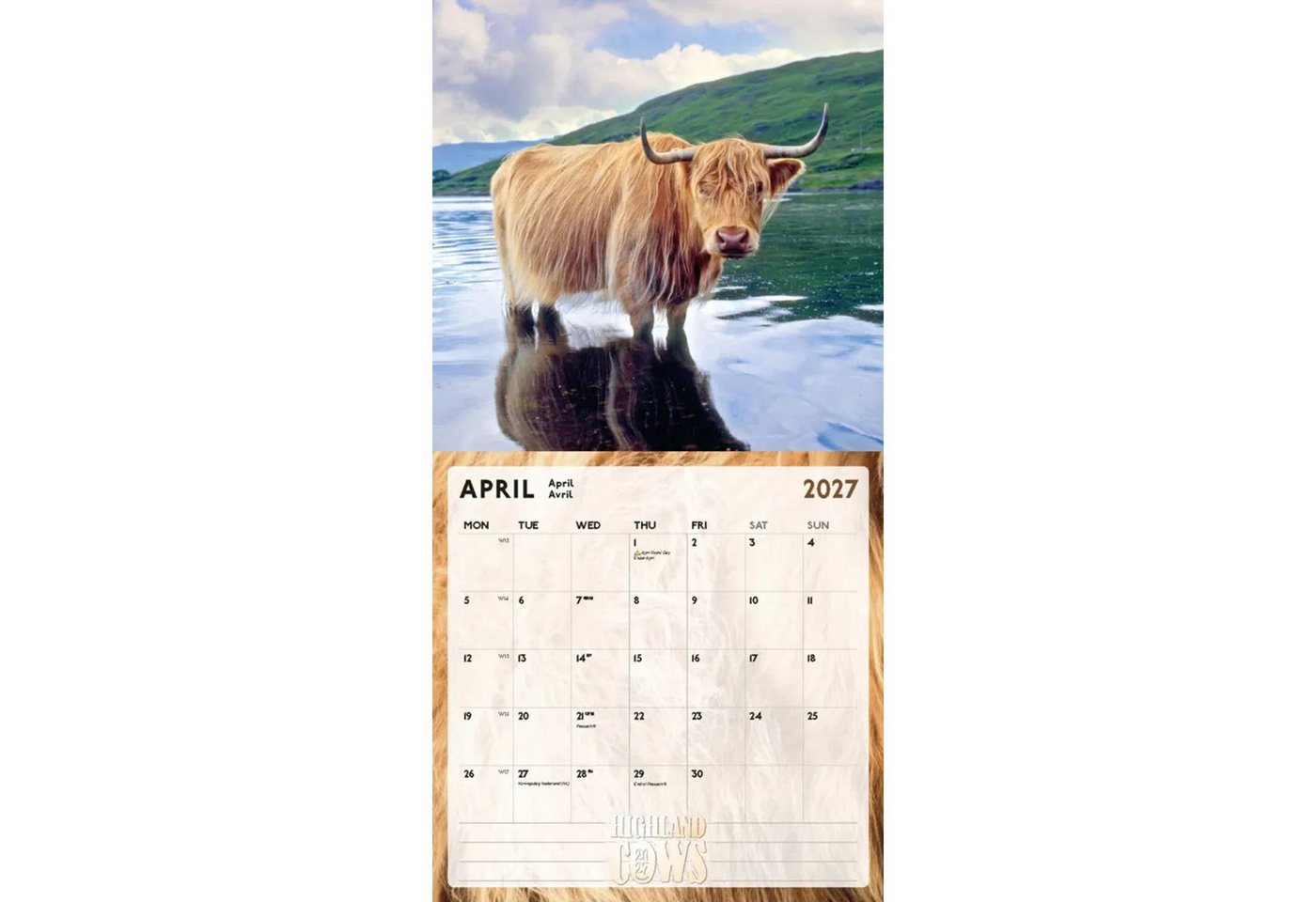 Wandkalender Highland Cows Kalender 2027 - Schottische Hochlandrinder