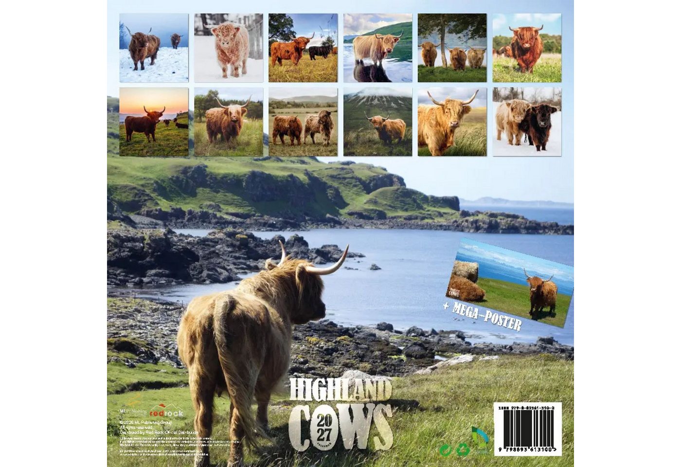 Wandkalender Highland Cows Kalender 2027 - Schottische Hochlandrinder Bild 3