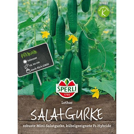 Gemüsesamen, Salatgurke 'lothar'