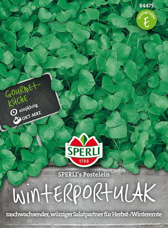 Sperli's Winterportulak, Postelein, Montia Perfoliata, Schnellwachsend