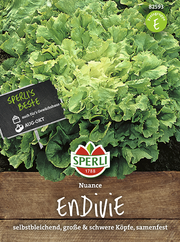 Sperli Endivie Nuance Samen - 1 Portion