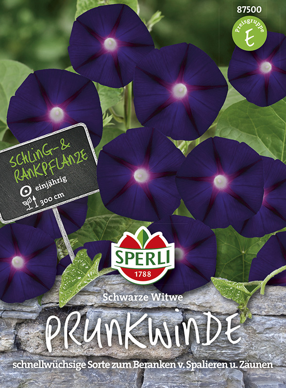 Sperli Prunkwinde Schwarze Witwe - 1 Portion