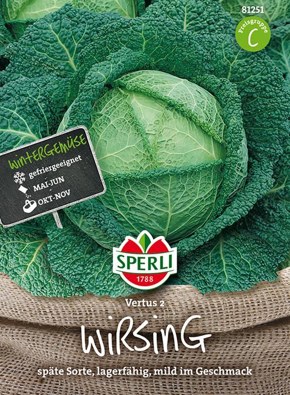 Sperli Wirsingkohl Vertus 2 Samen - 1 Portion