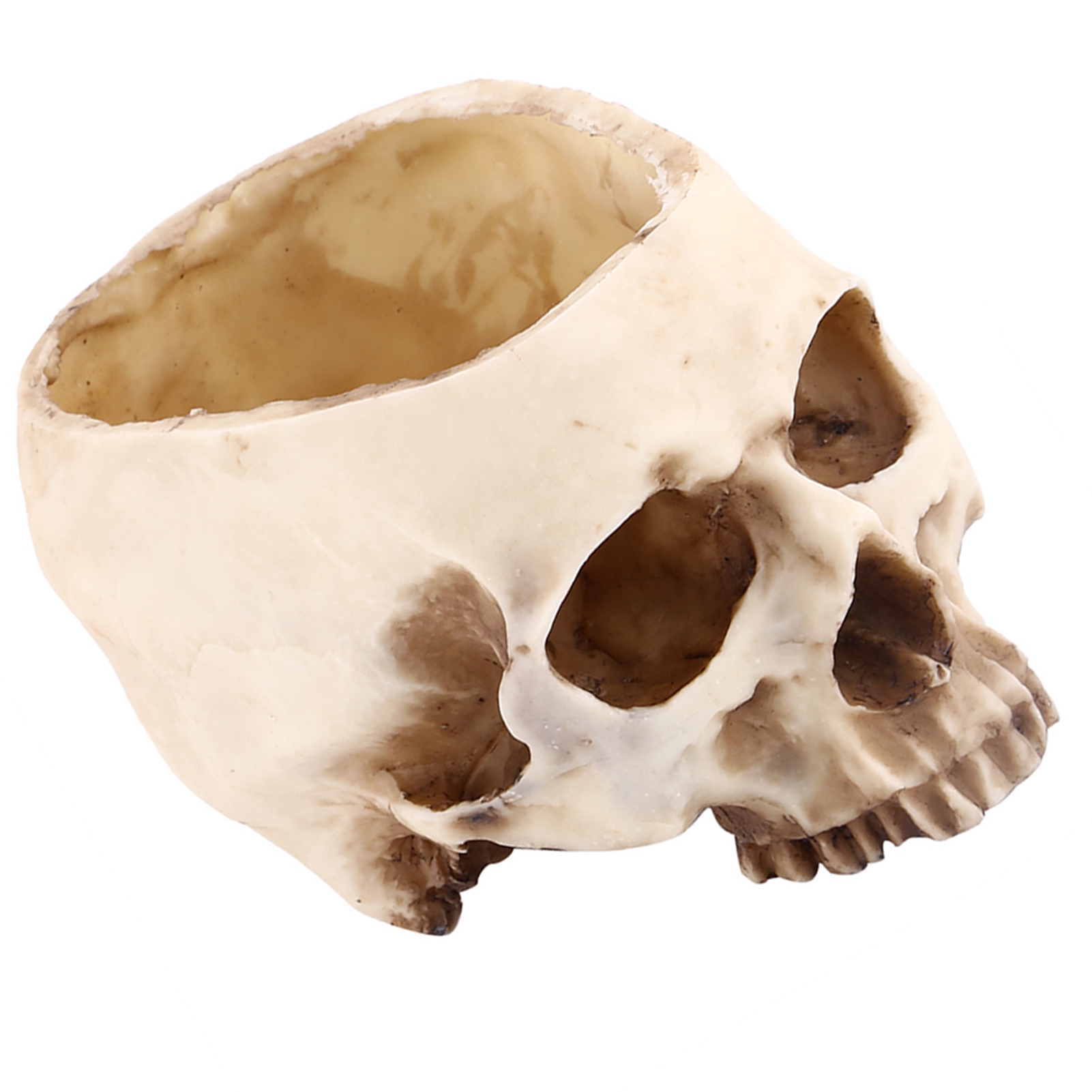 Pot De Fleurs Décoratif En Résine Avec Motif Tête De Mort (1 Pièce)