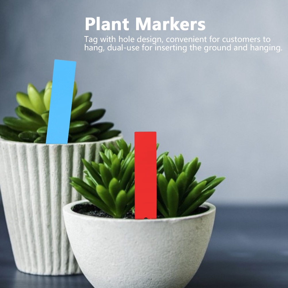 100 Étiquettes En Pvc Pour Pots De Fleurs, Marqueurs Pour Semis De Jardin Et Pépinière (bleu, Rouge)