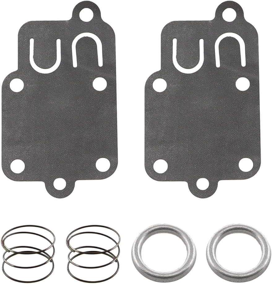 Vergaser-reparaturset – 2-teilig – Langlebige Membran – Für Motoren Von 3 Bis 5 Ps – Kompatibel Mit Briggs & Stratton – Schwarz