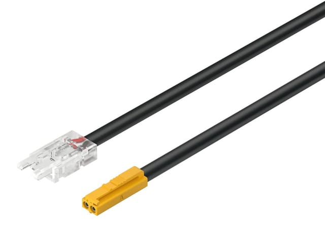 Häfele LOOX5 Zuleitung für LED Band 24V 8 mm monochrom, 500 mm