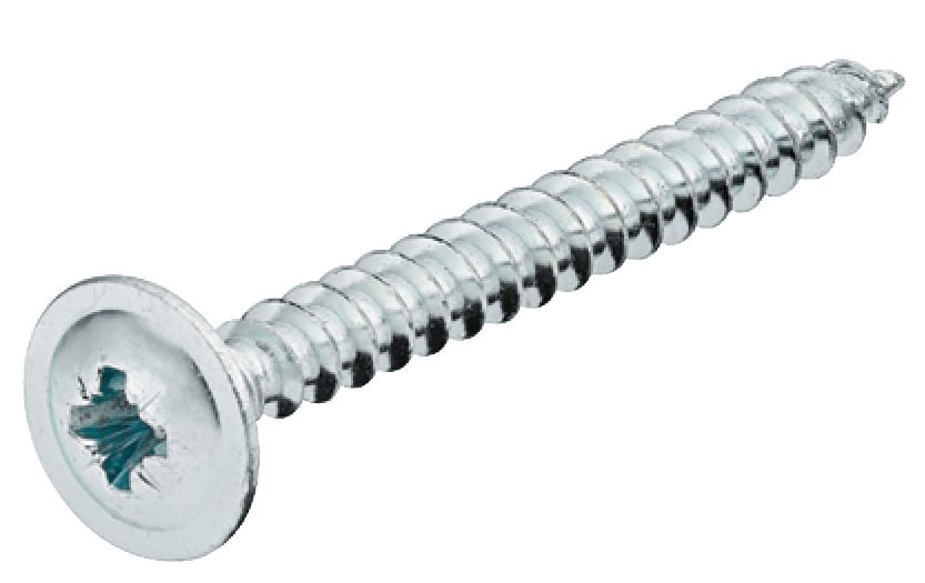 Häfele Rückwandschraube Hospa Ø 3,0 mm Kreuzschlitz PZ Vollgewinde verzinkt Tellerkopf, 20 mm