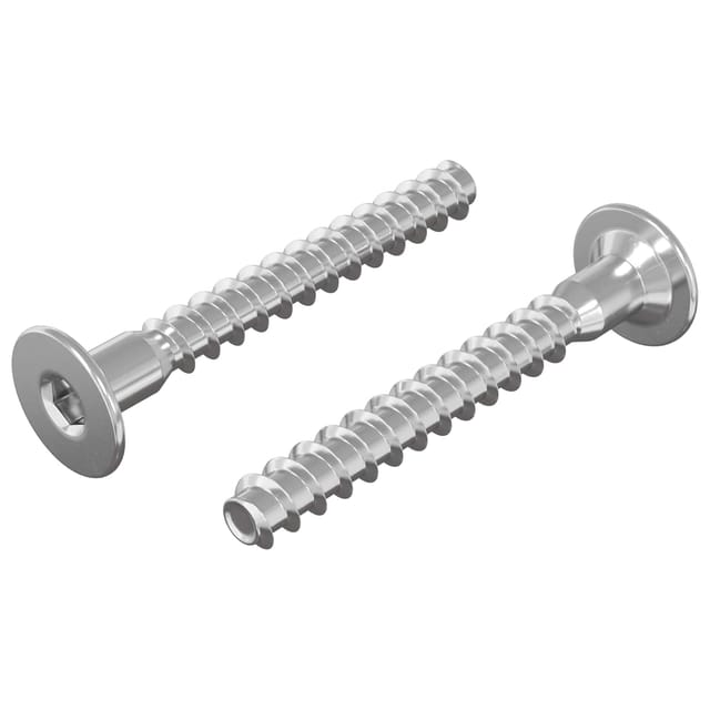 vidaXL Confirmat-Schrauben 2 Stk Silber Ø5 x 40 mm Metall 864376