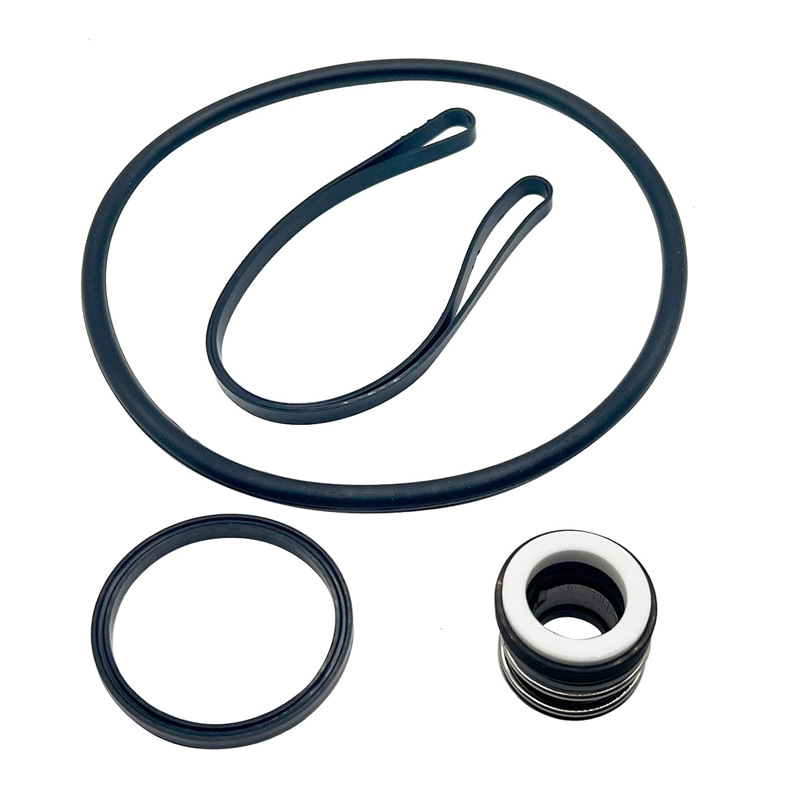 Hayward Sp3000x Reparatursatz, Wellendichtung, Pumpenteile Spx1600z2 Ps-201 -- Sp3000x Reparatursatz