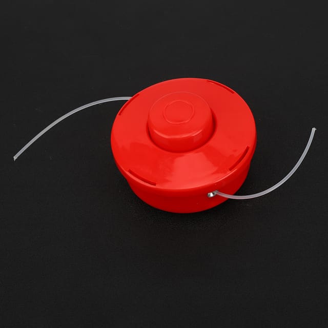 Pu Xiaosongs Roter Graskopf