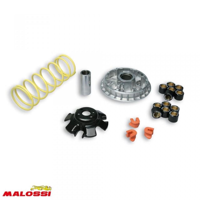 Malossi-variator Für Das Motorrad Aeon 300 Crossland, Baujahre