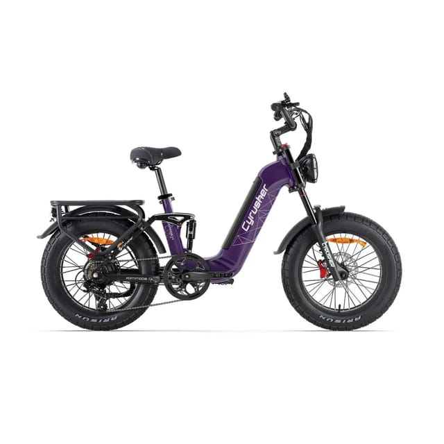 CYRUSHER Kommoda 3.0 20 Zoll Elektro Lastenrad 250W Motor 48V 20Ah Akku