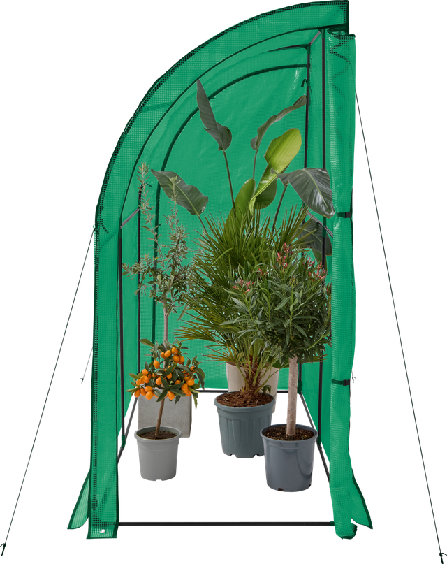 PARKSIDE® Anlehn-Gewächshaus (Grün)