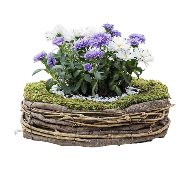 Dekoleidenschaft Pflanzschale "Natur" rund Ø 26 cm, Outdoor Blumentopf Pflanztopf Garten Pflanzgefäß, Pflanzkorb aus Moos, Weinreben & Weide für Draußen