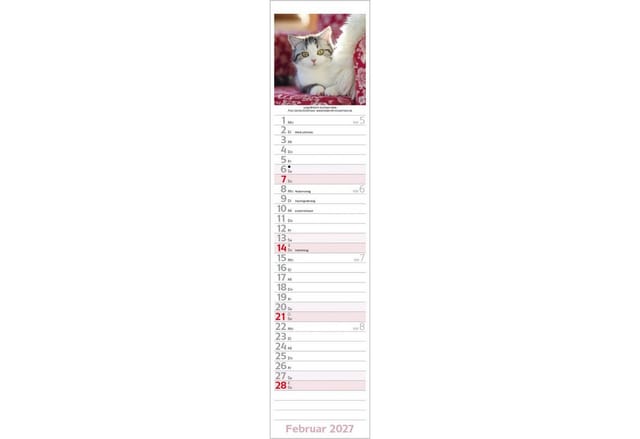 Korsch Verlag Wandkalender Katzen Langplaner 2027