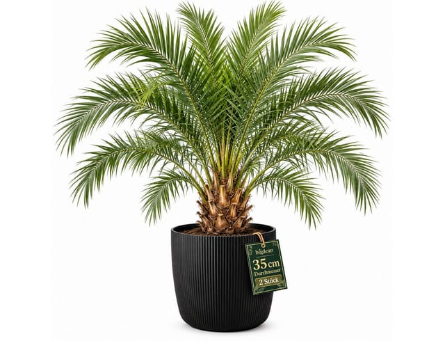 BigDean Blumentopf Schwarz Übertopf mit Einsatz Rillenstruktur (1 St), Inkl. Wasserreservoir Einsatz Made in Europe für Innen und Außen