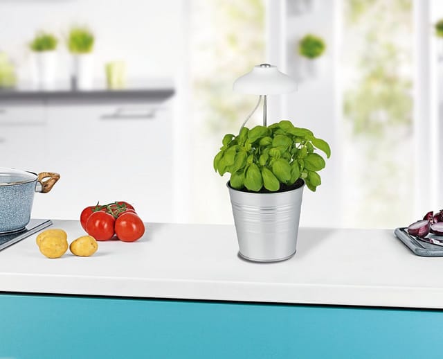 DS Produkte GmbH LED Dekolicht LED Teleskop-Pflanzenleuchte Pflanzenlampe Pflanzenstrahler