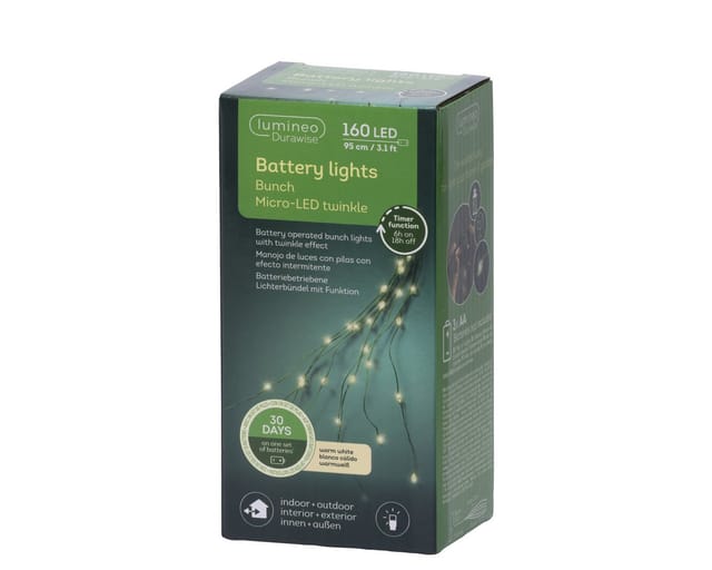 Lumineo LED-Lichterkette, LED Lichtbündel 95cm mit 160 LEDs Twinkle Effekt Outdoor Timer Grün