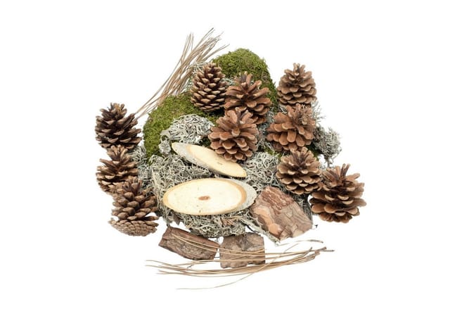 NaDeco Bastelnaturmaterial Wald-Potpourri, Natur, 450 g Herbstdeko Bastelmischung