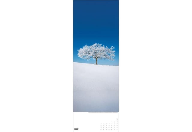 Wandkalender Bäume 2027