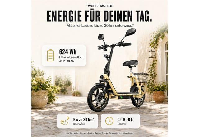 Vankel E-Scooter Herren u. Damen Elektroroller 45 km/h 500W 624Wh EEC straßenzugelassen, 500 W, Scheibenbremsen Doppelfederung faltbarer Lenker Gepäckkorb 120 kg LED