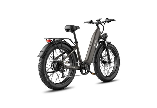 fafrees E-Bike F26 ROVER 250W 48V 20Ah Fatbike, 26 Zoll, Scheibenbremsen, Heckmotor, 960,00 Wh